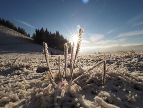 飘雪在线电影，冬日里的温暖与期待飘雪在线电影观看高清完整版中文